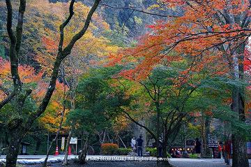 高千穂峡の紅葉　07