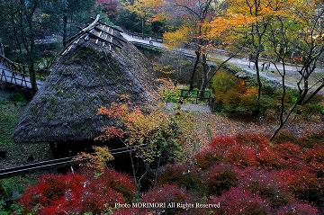 高千穂峡の紅葉　11