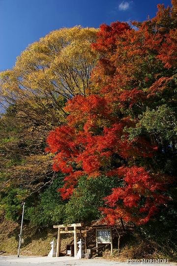 高千穂峡の紅葉　14