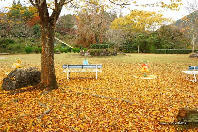 高千穂町総合運動公園の紅葉　09