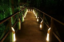 竹灯篭の遊歩道