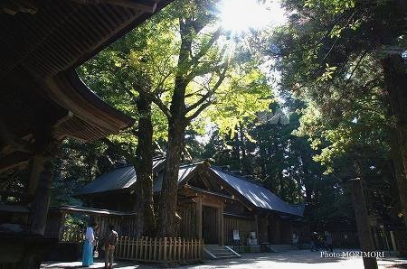 天岩戸神社 西宮 天岩戸神社 西宮