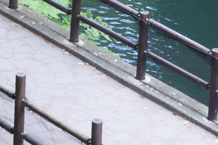 遊歩道の柵 遊歩道のフェンス