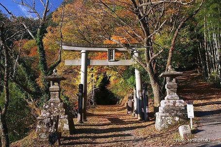 二上神社鳥居 二上神社鳥居