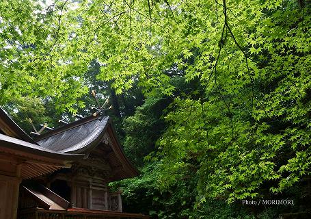 くしふる神社 くしふる神社