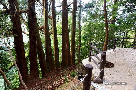 天岩戸神社 東本宮 七本杉 天岩戸神社 東本宮 七本杉