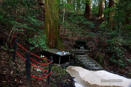 天岩戸神社 東本宮 御神水 天岩戸神社 東本宮 御神水