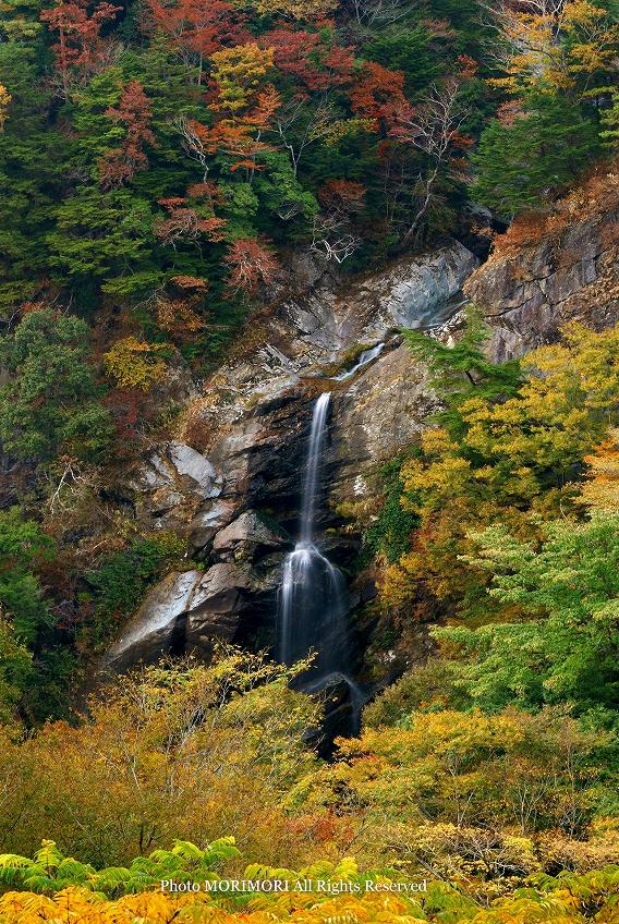 竜ヶ岩の滝の紅葉 竜ヶ岩の滝の紅葉