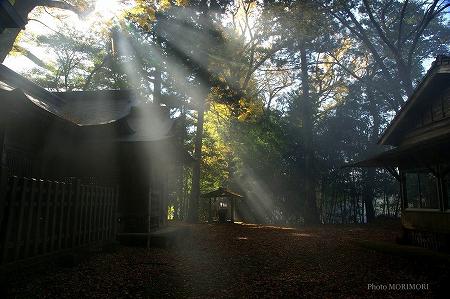下野八幡大神社 下野八幡大神社
