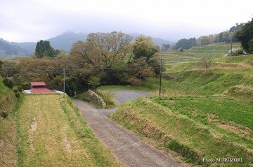 永の内　八大龍王水神社 06 周りは棚田