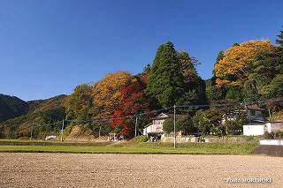 高千穂　吾平山陵　01