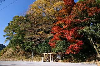 高千穂　吾平山陵　02