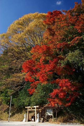 高千穂　吾平山陵　03