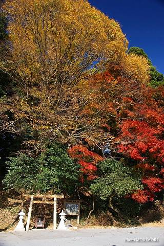 高千穂　吾平山陵　04