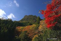 二上山　と　紅葉　鳥居付近より撮影