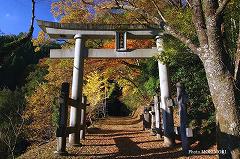 二上神社鳥居