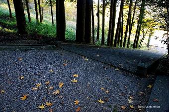 石神神社　境内