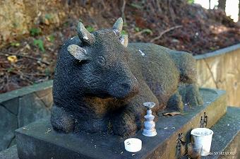 石神神社　牛の石像