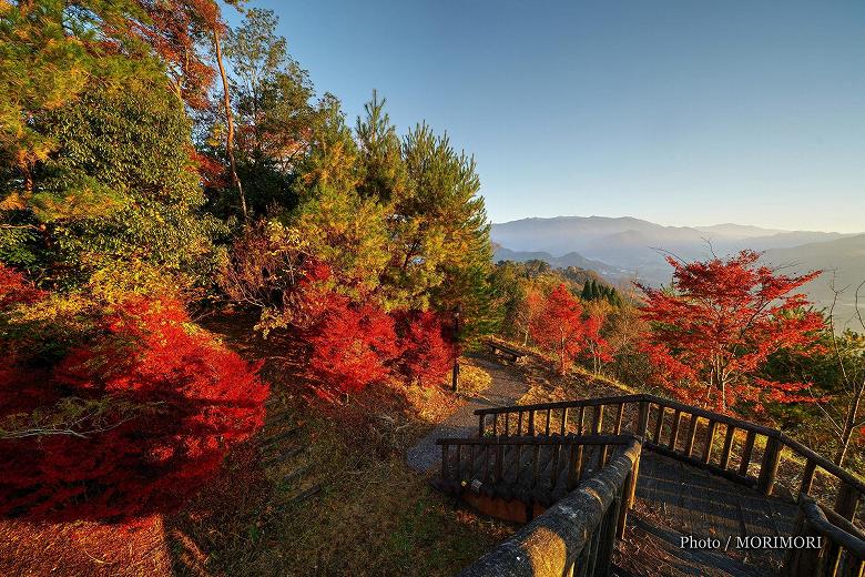 国見ヶ丘 南展望台　ドウダンツツジなどの紅葉