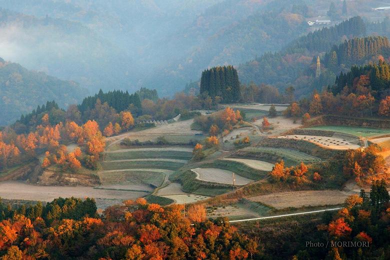 晩秋の国見ヶ丘から見る棚田風景