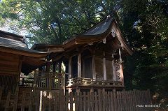 下野八幡大神社本殿　