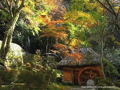 高千穂峡の紅葉　水車小屋