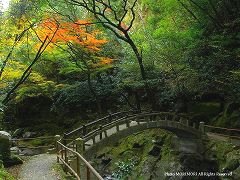 天安河原へ向かう道の紅葉