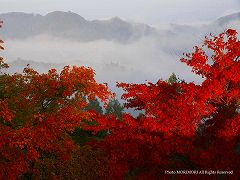 国見ヶ丘の紅葉