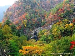 竜が岩の紅葉　01