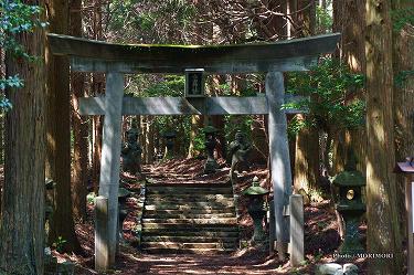 ■ 向山神社（高千穂町）鳥居　mukaiyama03.jpg