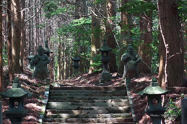 ■ 向山神社(高千穂町)参道 ■ 向山神社(高千穂町)参道mukaiyama05.jpg