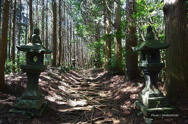 ■ 向山神社（高千穂町）参道　mukaiyama10.jpg