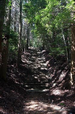 ■ 向山神社（高千穂町）参道の石段１mukaiyama11.jpg