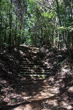 ■ 向山神社（高千穂町）参道の石段２mukaiyama12.jpg