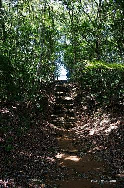 ■ 向山神社（高千穂町）参道の石段３　mukaiyama13.jpg