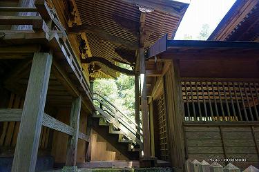 ■ 向山神社(高千穂町) ■ 向山神社(高千穂町)mukaiyama17.jpg