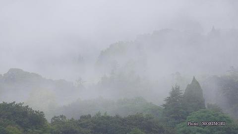 ホテル高千穂 窓からの風景