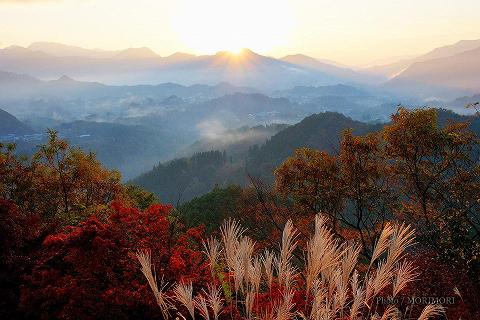 秋の国見ヶ丘（ススキと紅葉）