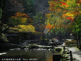 高千穂峡の紅葉｜おのころ池周辺