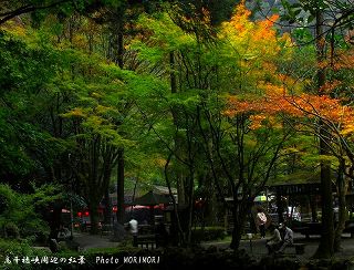 おのころ池の道を隔てた茶屋付近