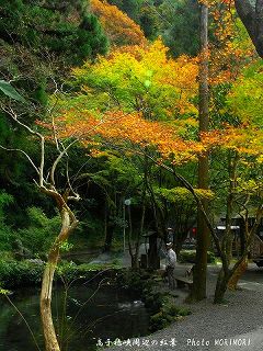 おのころ池道を隔てた茶屋付近