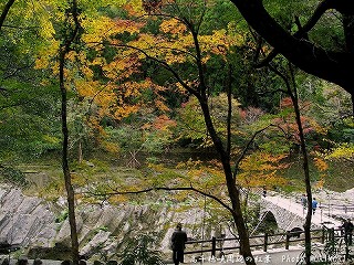 高千穂峡の紅葉｜槍飛橋付近０２