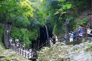 高千穂峡の新緑　2010年撮影　01