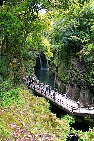 高千穂峡の新緑　2010年撮影　02a