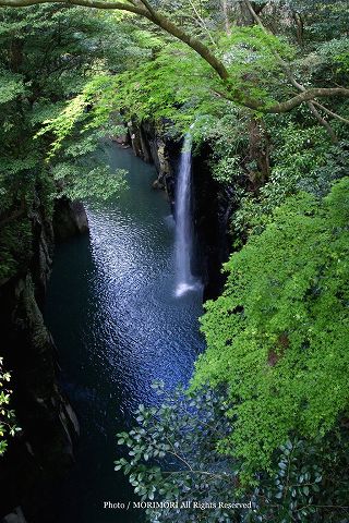 高千穂峡の新緑　2010年撮影　05　御橋上より　真名井の滝