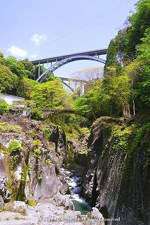 高千穂峡の新緑　04