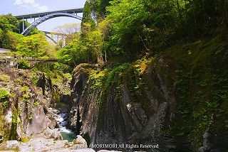 高千穂峡の新緑　05