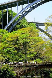 高千穂峡の新緑　09