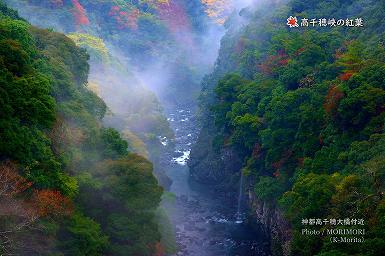 高千穂峡の紅葉（神都高千穂大橋付近）