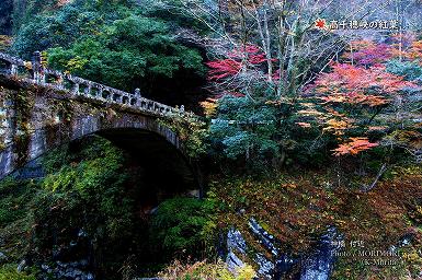 高千穂峡の紅葉（神橋付近）